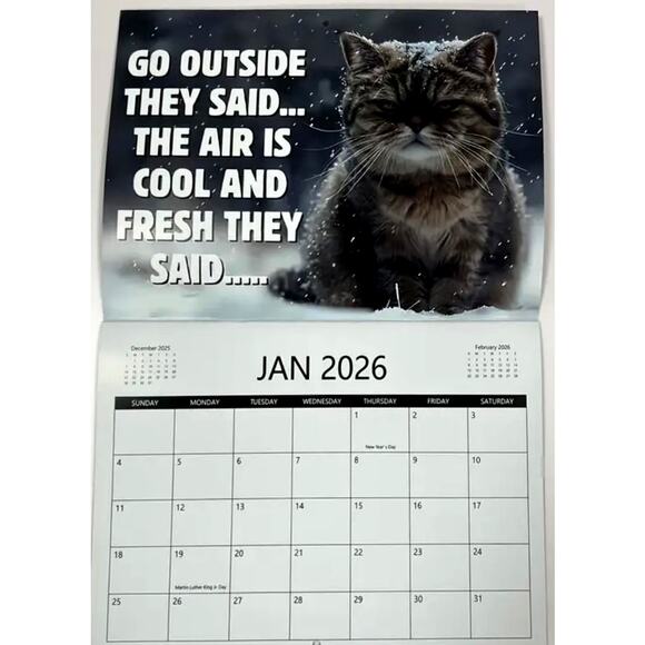 2026 Pissed Off Cats Calendar Funny - Picture 5 of 8